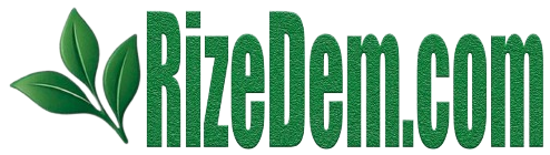 RizeDem.com