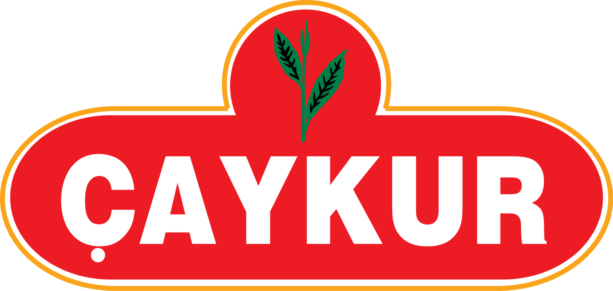 ÇAYKUR
